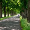 Tour 6: Naturpark Usedom